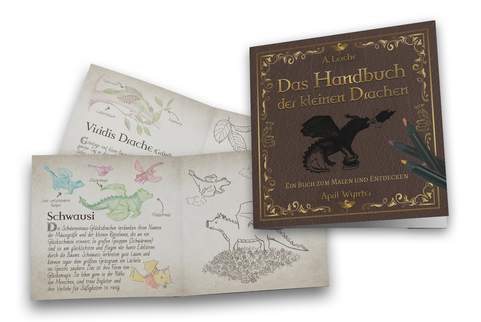Malbuch der kleinen Drachen mit Kompendium Banner